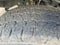2020 Ford F-250SD XLT