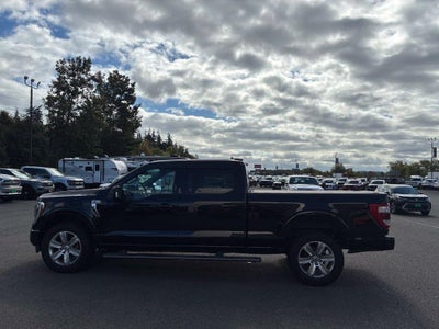 2021 Ford F-150 Platinum